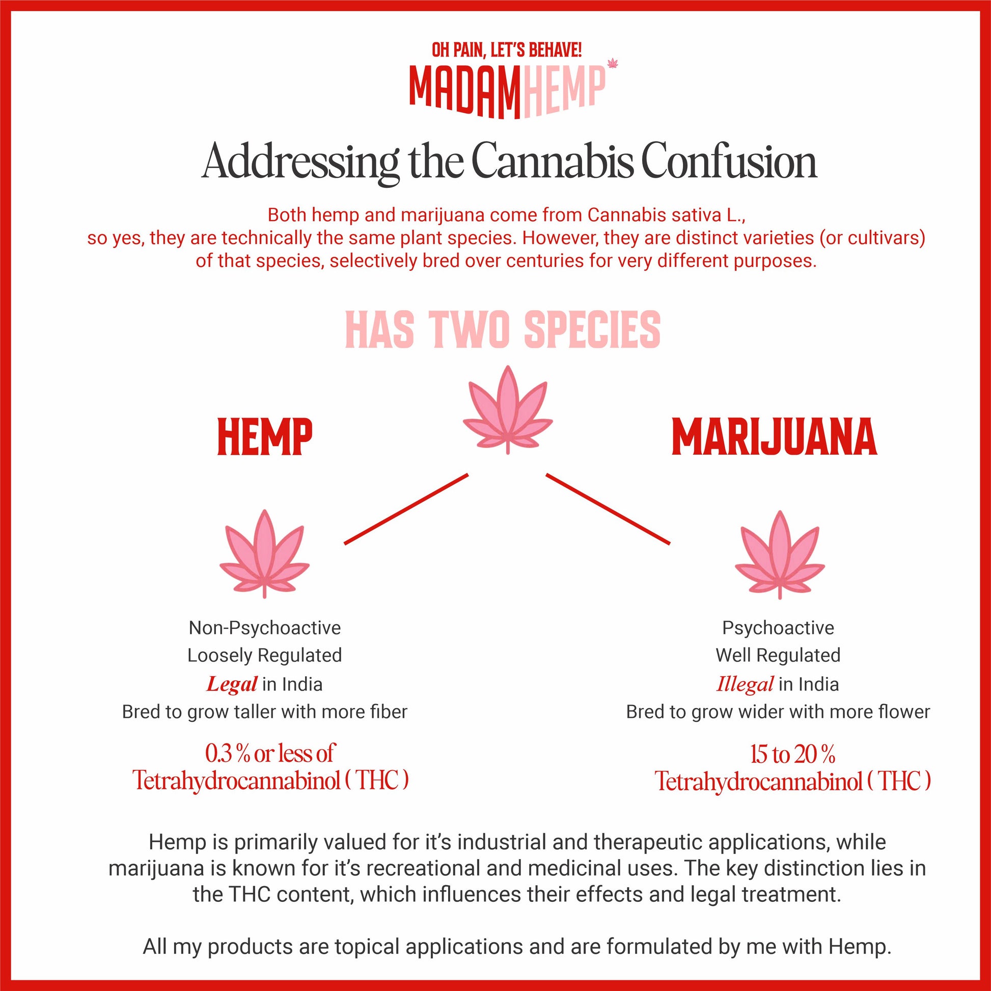 Madam Hemp hemp wellness – common questions about hemp answered